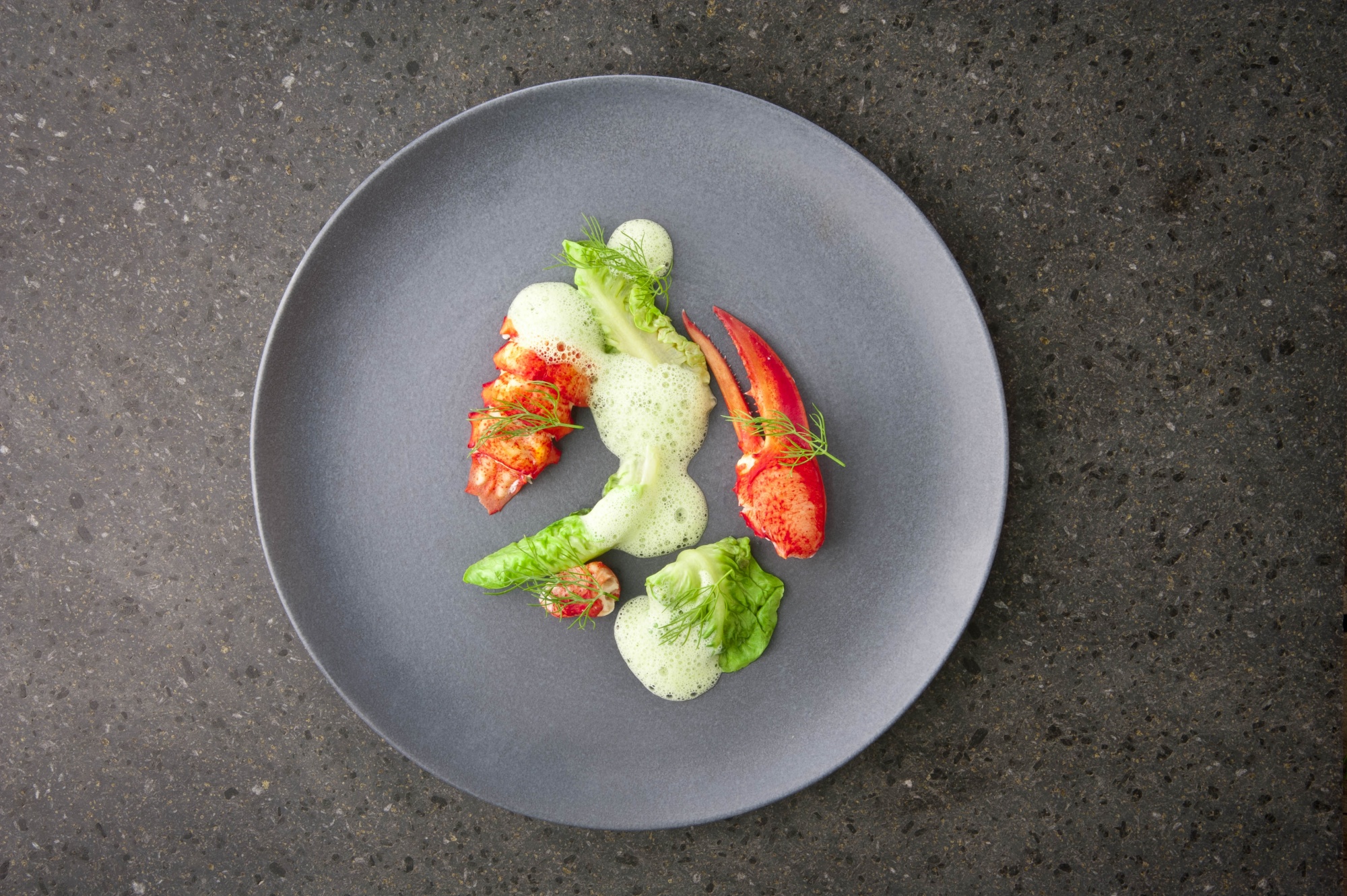 Lobster, lettuce and fennel